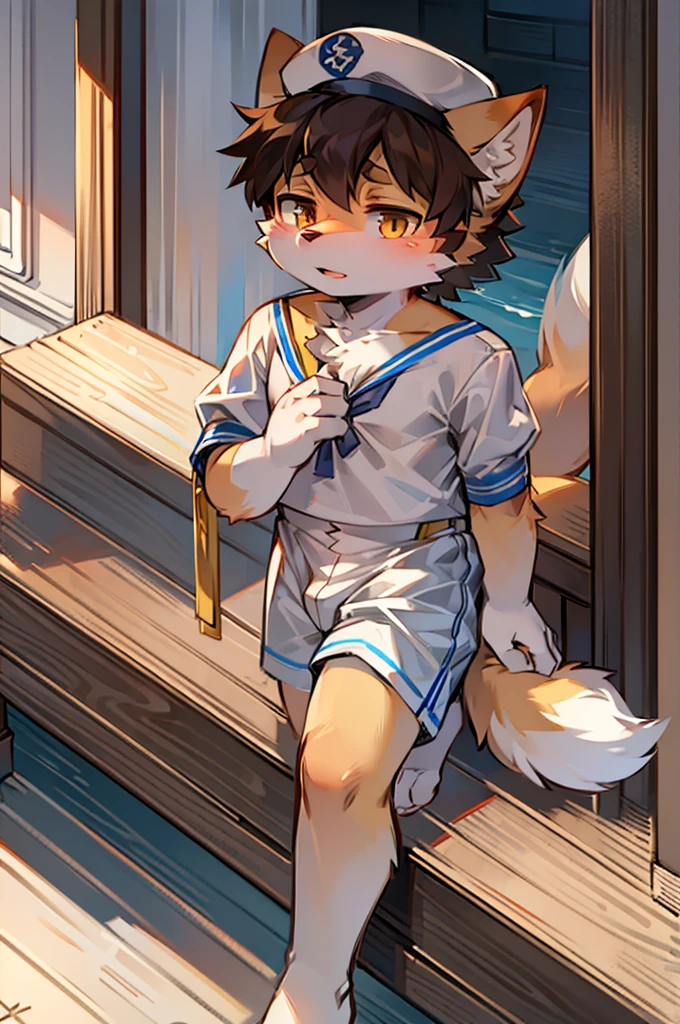 Boat deck,Fox Boy,Male focus,Furry people,Hairy Shota,Characteristics of a three-year-old boy,Height 1.6 m,pupil,Bright Eyes,Sailor hat,White sailor suit,shorts,Not outstanding