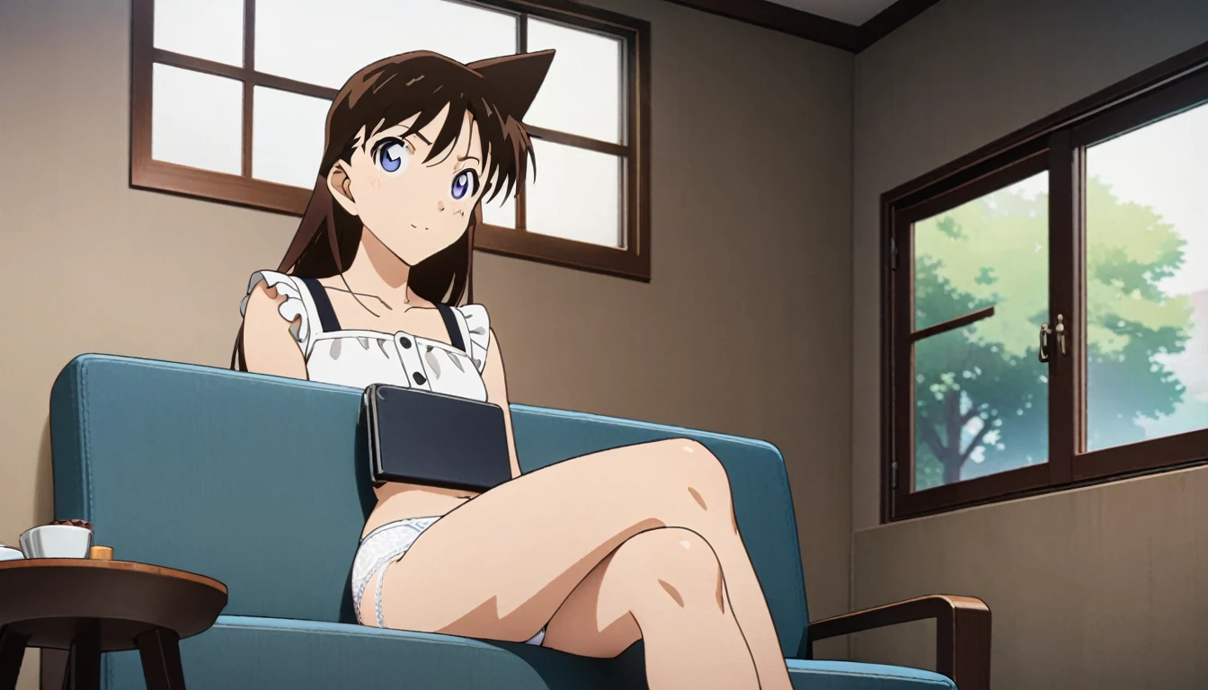 (Brunette, ,8k,Perfect body,Ultra Clear,Highest quality, masterpiece:1.4),(Anime Style:1.37) , photograph, Detailed Background, 1 Girl, (((white lace panties))), Cowboy Shooting, Watching the crowd, A faint smile, Sitting, Crossing your legs, From below, On the sofa, window, living room,