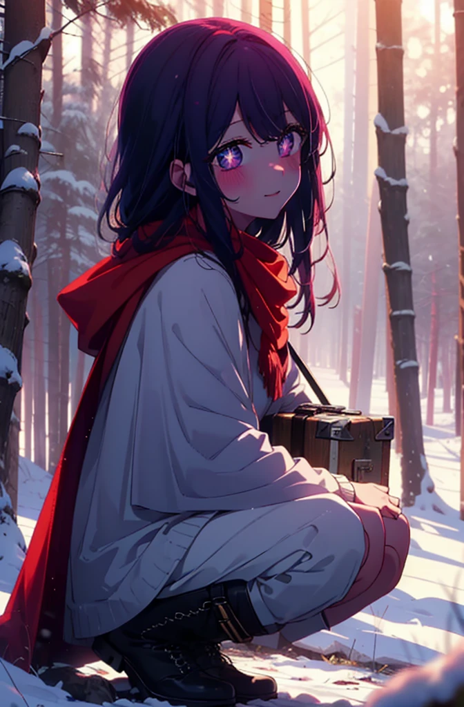 aihoshino, Ai Hoshino, Long Hair, bangs, (Purple eyes:1.1), Purple Hair, (Symbol-shaped pupil:1.5), smile,,smile,blush,White Breath,
Open your mouth,snow,Ground bonfire, Outdoor, boots, snowing, From the side, wood, suitcase, Cape, Blurred, , forest, White handbag, nature,  Squat, Mouth closed, Cape, winter, Written boundary depth, Black shoes, red Cape break looking at viewer, Upper Body, whole body, break Outdoor, forest, nature, break (masterpiece:1.2), Highest quality, High resolution, unity 8k wallpaper, (shape:0.8), (Beautiful and beautiful eyes:1.6), Highly detailed face, Perfect lighting, Highly detailed CG, (Perfect hands, Perfect Anatomy),