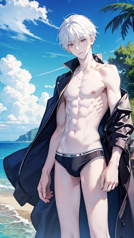 ,long, leg fair_skin,thin,white hair,narrow_waist, swim_briefs,in summer,full-shot,beach