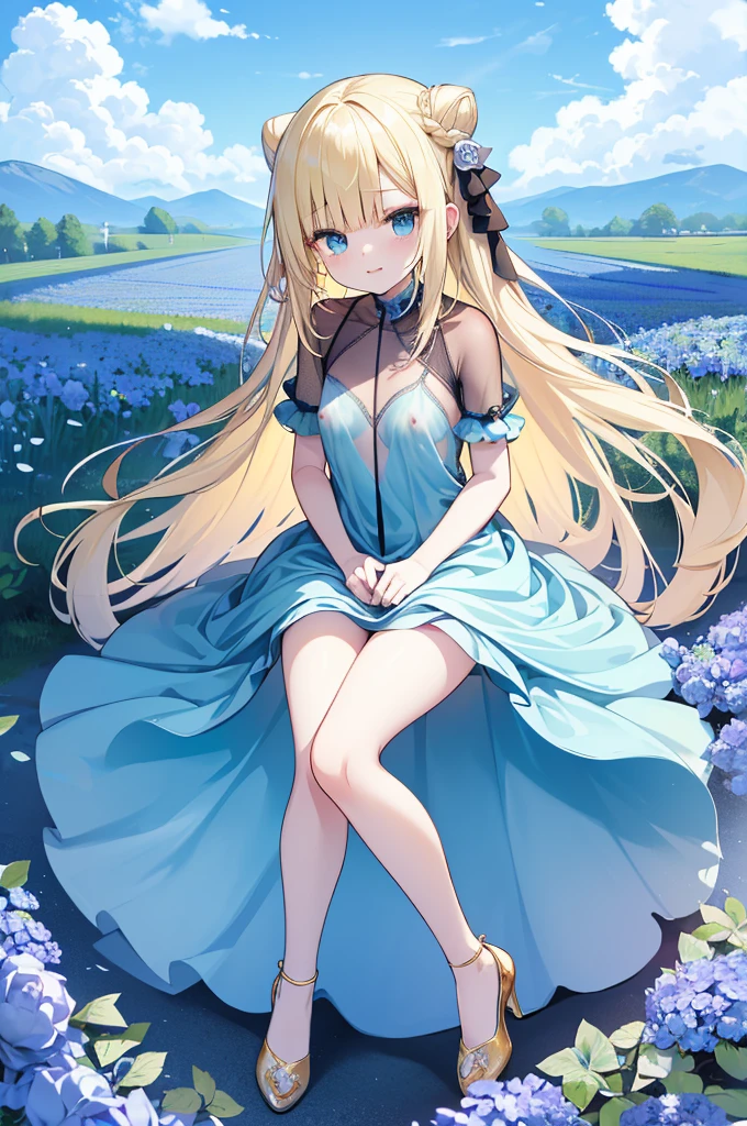 Yellow Hair，Blue eyes，Carly，Adorable，((See-through blue dress))，Blue high heels on her feet，whole body，Fingers and arms are not exposed，Blue rose flower field in the background，Blue sky and white clouds，，Happy expression，High quality light and shadow，Artistic Sense((Hair Bun))(Very long hair))((Blunt bangs))((Bitch))((tsurime))((Big eyes))((Skinny body))((expensive))(Pale skin))((Botanical Prints))((infant))((Showing nipples under shirt))(Pale skin))((Botanical Prints))((infant))((nsfw))((((5 years old)))(((infant)))((Lolita)