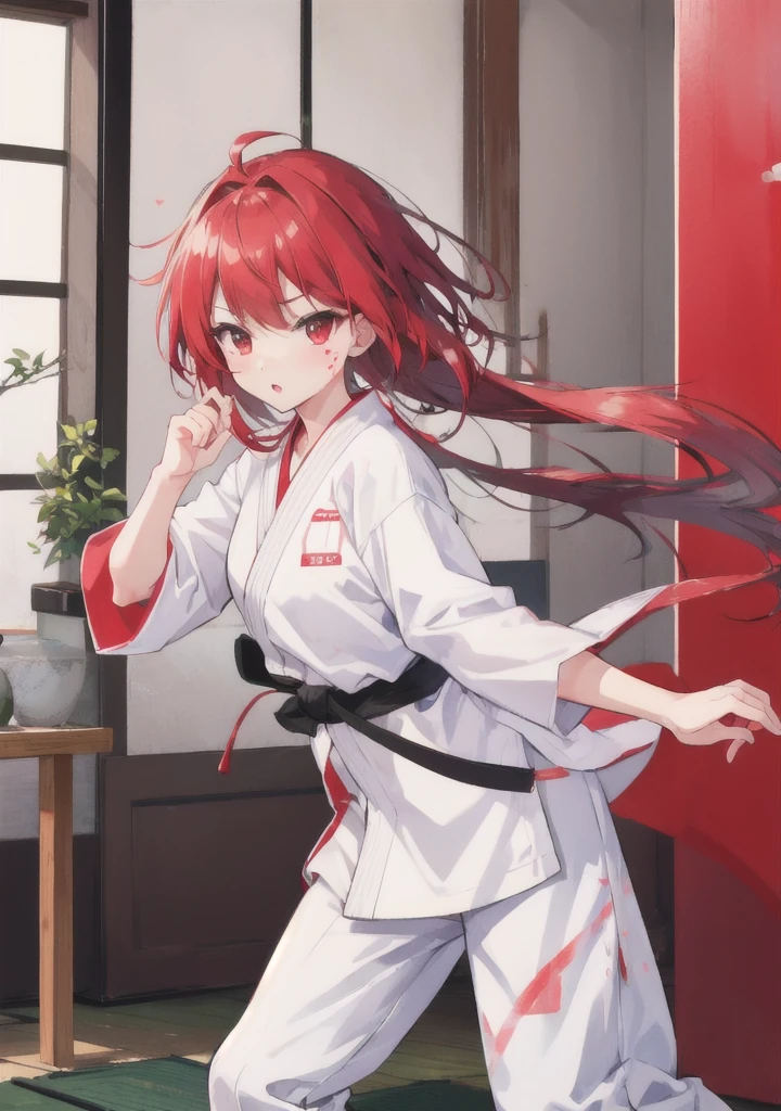 karate、girl、Torn street clothes、Disarray of clothing、The End of a Fierce Battle、red birthmark、Bandage、dojo、Japanese-style room、Kick、High Kick