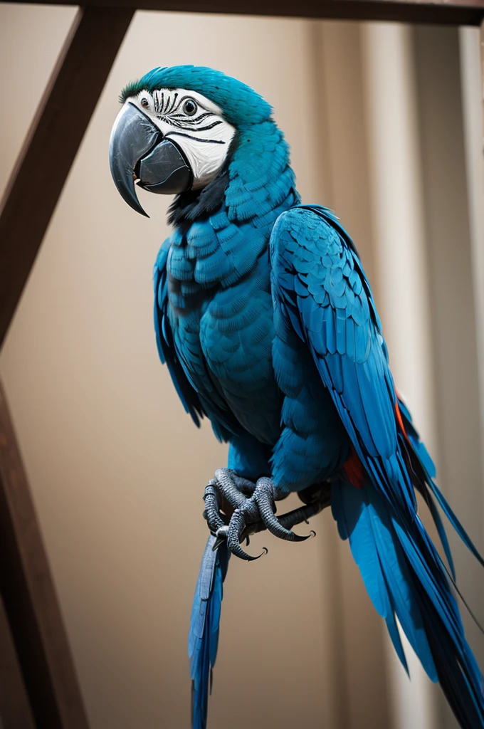 Half robot blue macaw
