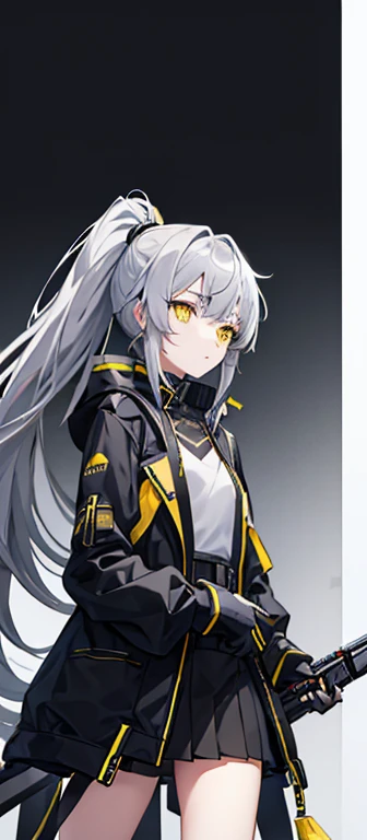Girl，Gray Hair，High Ponytail，Yellow eyes。Carrying two long columns，Black jacket and long sleeves，Black miniskirt for lower body，Both the top and bottom have gold patterns。Technology，flat chest，Shotgun，Airplane anthropomorphism。