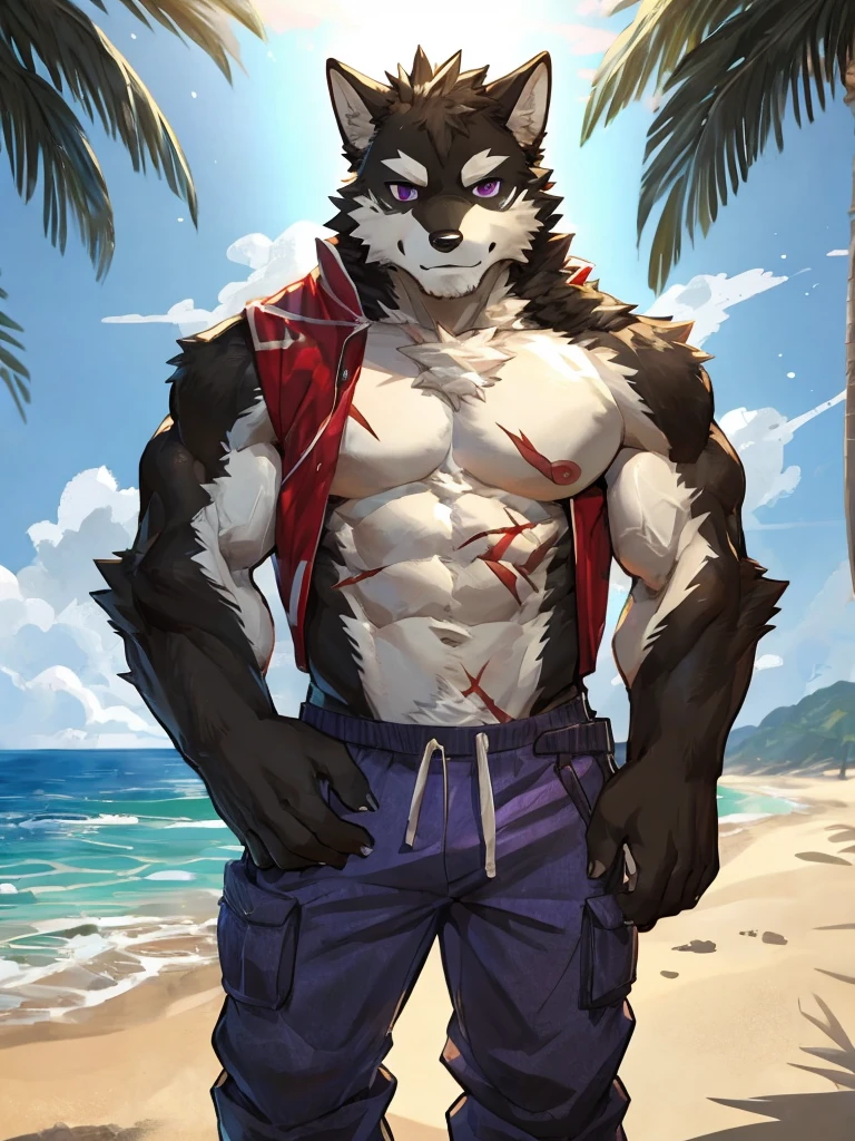 embedding:black wolf, male,purple eyes,Scar on the face, scar on the body,Single Person,beach pants,Mature, Beach background,The highest quality of scene detail,adult,Tall and powerful,muscle,Best quality hands, best quality eye,detailed fur,Delicate eyes.Extreme picture quality,by sollyz,by zixiong,by milkytiger1145
