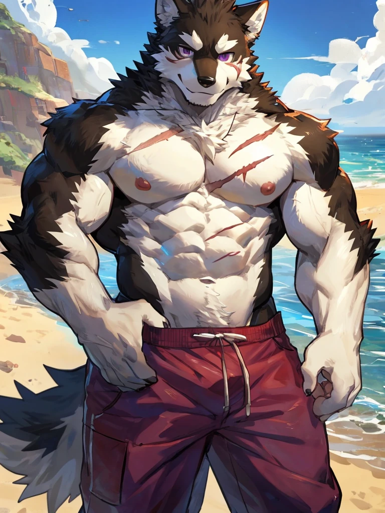 embedding:black wolf, male,purple eyes,Scar on the face, scar on the body,Single Person,beach pants,Mature, Beach background,The highest quality of scene detail,adult,Tall and powerful,muscle，Best quality hands, best quality eye，detailed fur，Delicate eyes.Extreme picture quality，by sollyz,by zixiong,by milkytiger1145