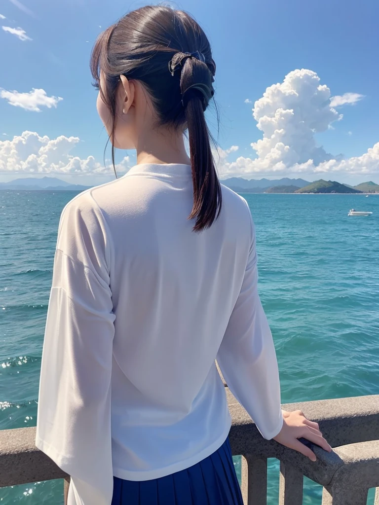 Sea of Japan、sunny、Quiet Sea、(Rear view of one woman:1.4)、T-Shirts、Frilled Skirt、ponytail、Long sleeve、Blue sky、White cloud