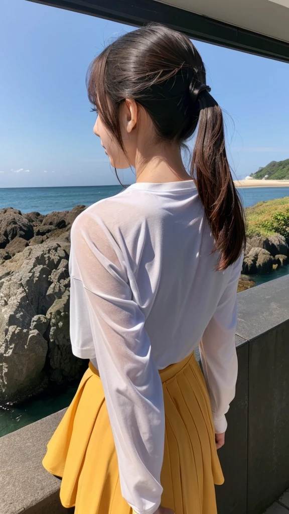 Sea of Japan、sunny、Quiet Sea、(Rear view of one woman:1.4)、T-Shirts、Frilled Skirt、ponytail、Long sleeve、Morning Glow、Asahi