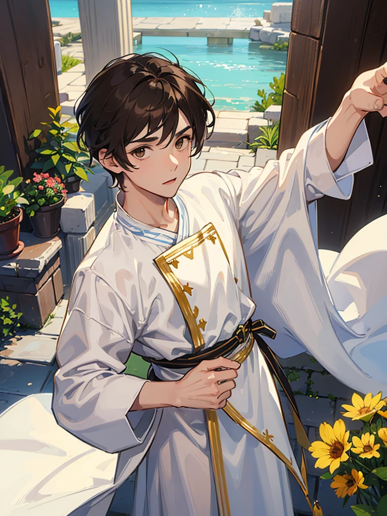 (((1male))), half body, facing viewer, short dark brown hair, brown eyes, cute, pretty, white Greek tunic, small penis,