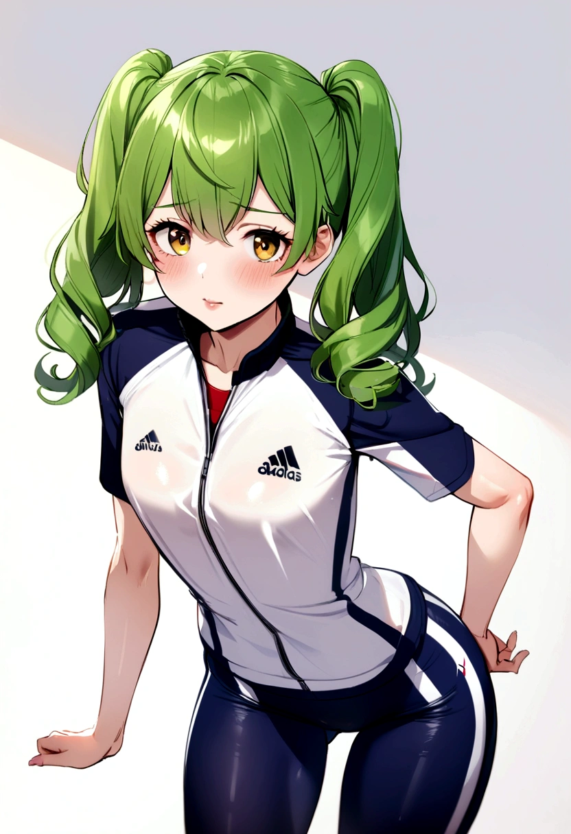 (masterpiece)、(absurdres)、(shiny dark green hair)、(solo girl)、dark green eyeiddle breast:0.9、(straight long hair)、(Gym suit、Shorts),blush,Background inside the gymnasium、closed eyes,