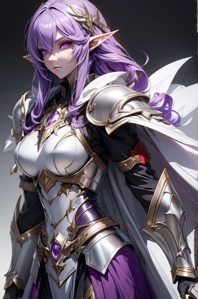 female elf knight, full body art, purple hair, white skin, red iris eye, knight full plate adorned armor, silver cape, perfectly detailed