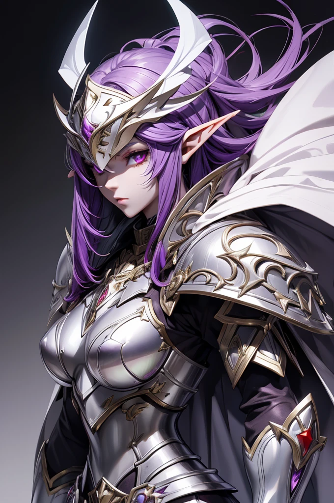 female elf knight, full body art, purple hair, white skin, red iris eye, knight full plate adorned armor, silver cape, perfectly detailed