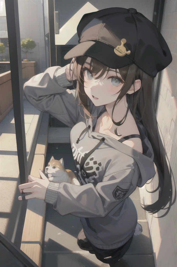 Brown Hair、Wolf Hair、The eyes are large、Long eyeliner、I like Shiba Inu, cats, and games.、The outfit is a grey hoodie and grey cap.longhair。