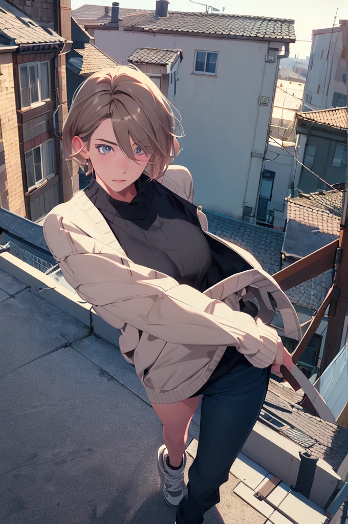 (masterpiece:1.3),(best quality:1.2),(absurdres:1.1), (full body:1.1), dark hair, large sweater, no pants,
mgk_akane, covered ears,looking at viewer,
(highly detailed face and eyes:1.1),standing on a rooftop, simple background,