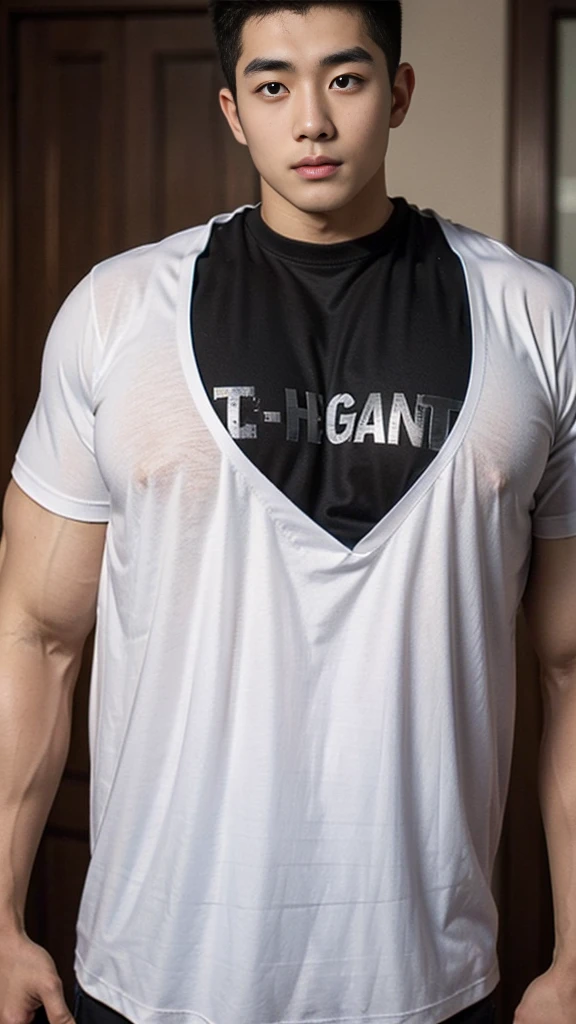 ((t-shirt)), ((gigantic pecs:1.4)), ((cute Asian boy)), muscular, body hair, big nipples.