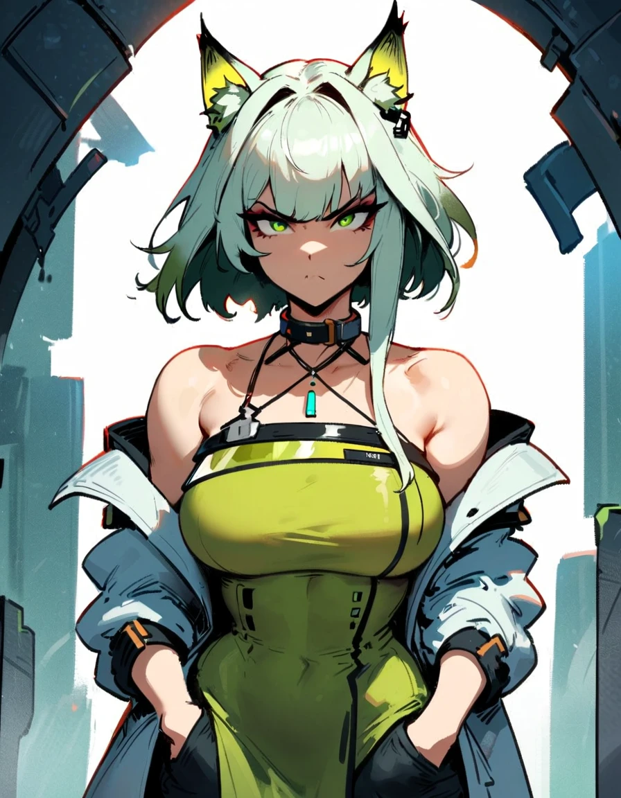 1girl, kal'tsit \(arknights\), arknights \\\\\ masterpiece, best quality, very aesthetic, absurdres, newest \\\\\\ slim body,///// ,by nyantcha,cutesexyrobutts , by khyle,,////// ,,,, , ,,detailed face, , ,, , , , , beautiful face, (white background:1.2), , sexy, , serious.angry, green eyes, animal ears, , ,,,big tits,), in the center of the frame,,, ,wears a lab coat, hands in pockets, , solo