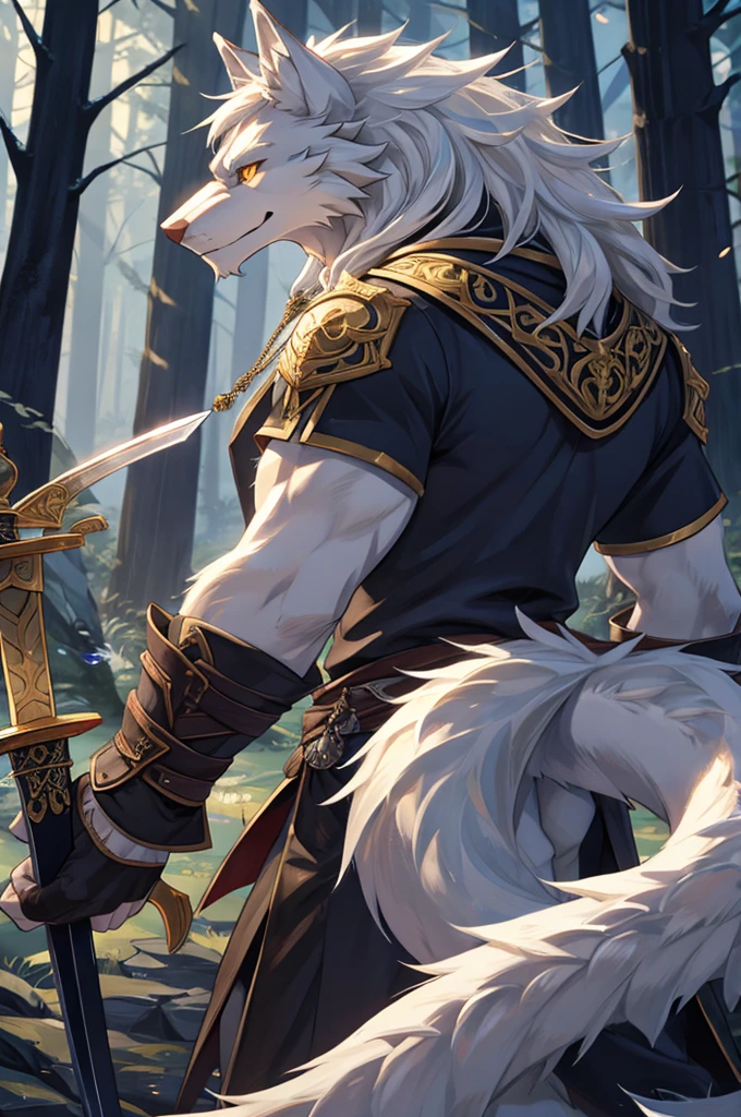 A simple man who has ears and a tail like a wolf and the tail and ears are white. He wears strong and cool armor and a sword.