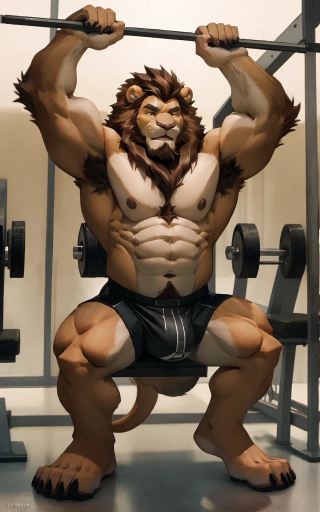 Muscular furry male lion, barefoot, big foot, beard on the chin, hair on the chest, hair on the abdomen, hair on the elbow, hair on the armpit, hot, large bulging veins, hot male lion face, working out at the gym, shirtless, wearing underwear