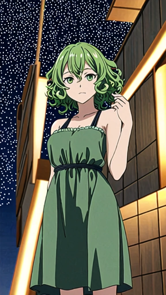 anime,de Nami,night,looking at viewer,green eyes,curly hair