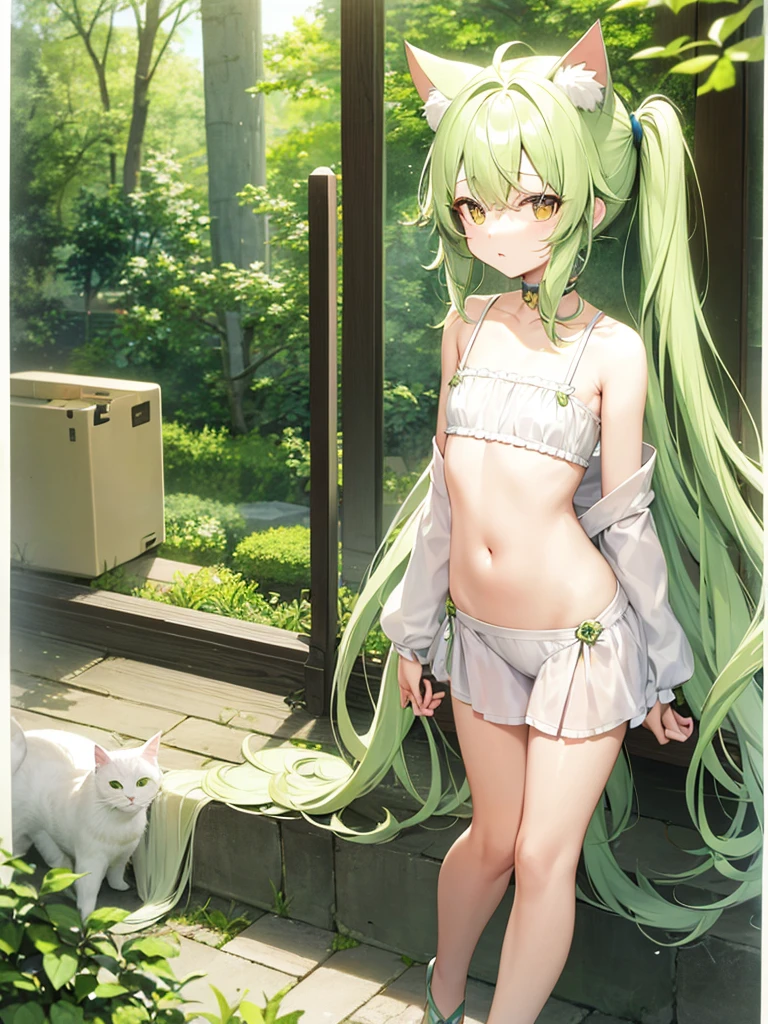 Pale green hair、Long Hair、Yellow、cute、Cat ear、Flat Chest