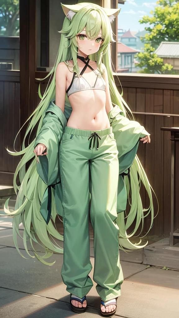 Pale green hair、Long Hair、Yellow、cute、Cat ear、Flat Chest、pants