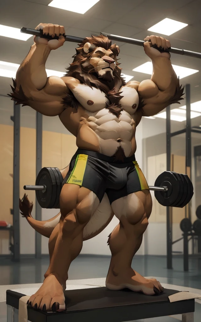 Muscular furry male lion, barefoot, big furry foot, beard on the chin, hair on the chest, hair on the abdomen, hair on the elbow, hair on the armpit, hot, large bulging veins, hot male lion face, lifting weights in the gym , shirtless, wearing boxer underwear