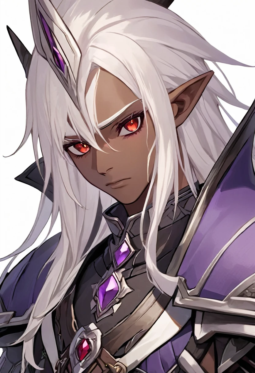 ((best quality)), ((masterpiece)), (detailed), ((boy)),, (dungeonpunk), (steampunk), half-drow, portrait, red eyes, long white hair, Xemnas from Kingdom Hearts, half-drow, brown skin with a purple hue, (full knight armor), paladin, serious faces, by Kinema Citrus