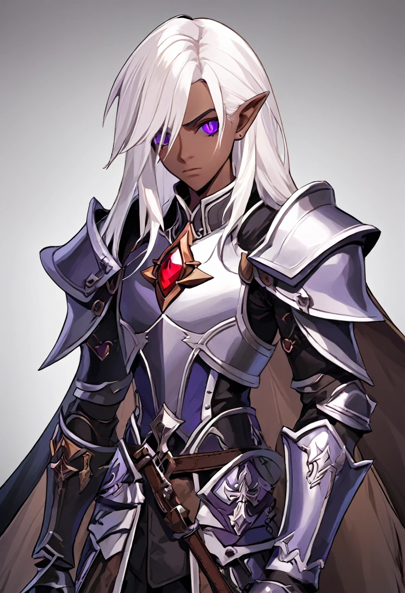 ((best quality)), ((masterpiece)), (detailed), ((boy)),, (dungeonpunk), (steampunk), half-drow, portrait, red eyes, long white hair, Xemnas from Kingdom Hearts, half-drow, brown skin with a purple hue, (full knight armor), paladin, serious faces, by Kinema Citrus