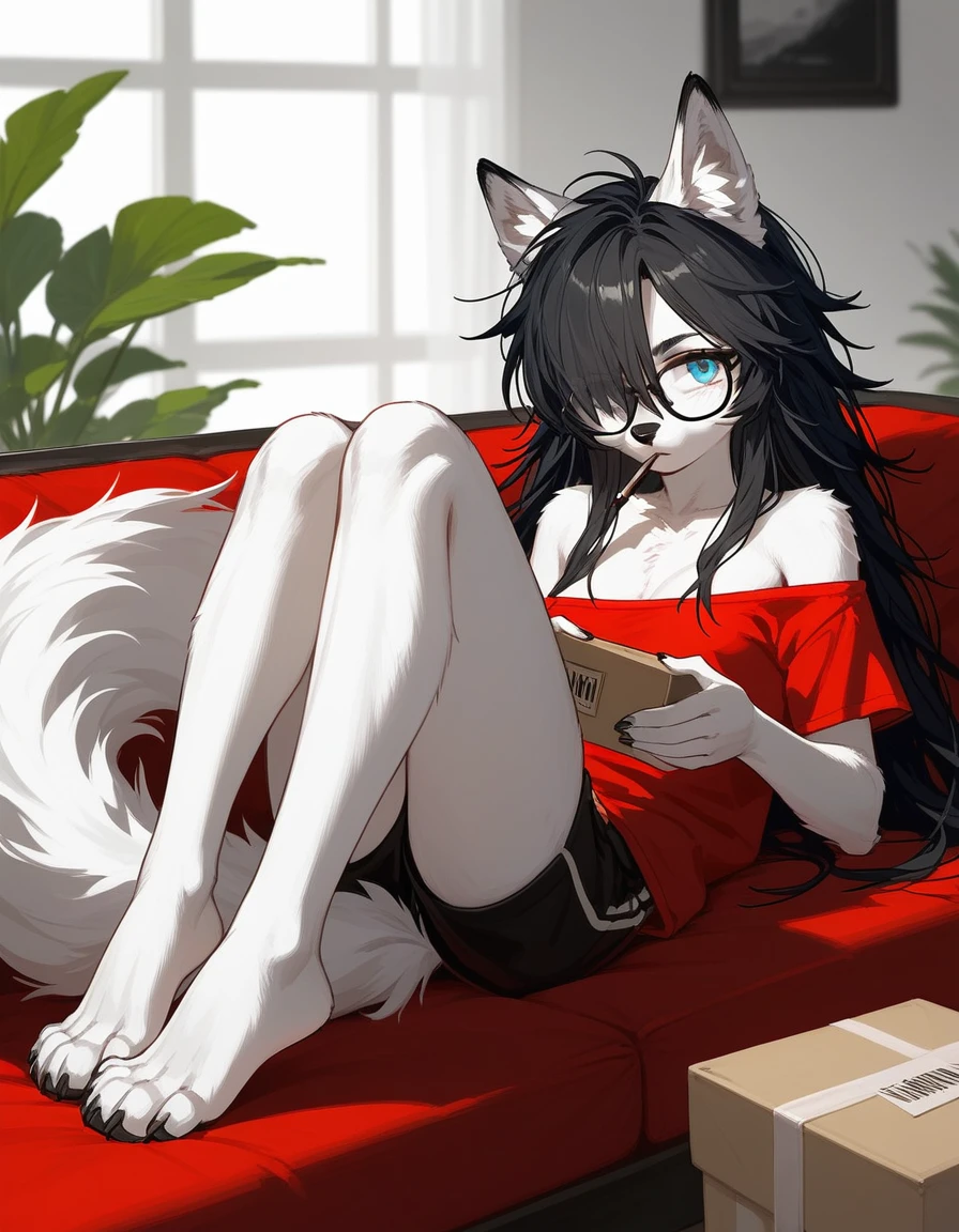 Solo, score_9,score_8_up,score_7_up, a young nerdy Anthro furry wolf woman, white furry body, tall, long black messy hair, hair covering one eye, long bangs, long black hair, blue eyes, black glasses, small breasts, white wolf tail, topless, wearing oversized red t shirt, exposed shoulder, black boy shorts, bored expression, eyes half open, barefoot, 4 toes, lounging on a couch, holding a box of pocky, a pocky stick in her mouth 