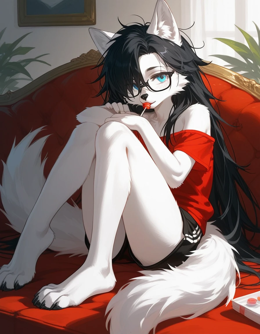 Solo, score_9,score_8_up,score_7_up, a young nerdy Anthro furry wolf woman, white furry body, tall, long black messy hair, hair covering one eye, long bangs, long black hair, blue eyes, black glasses, , white wolf tail, topless, wearing oversized red t shirt, exposed shoulder, black boy shorts, bored expression, eyes half open, barefoot, 4 toes, lounging on a couch, a lollipop in her mouth,
