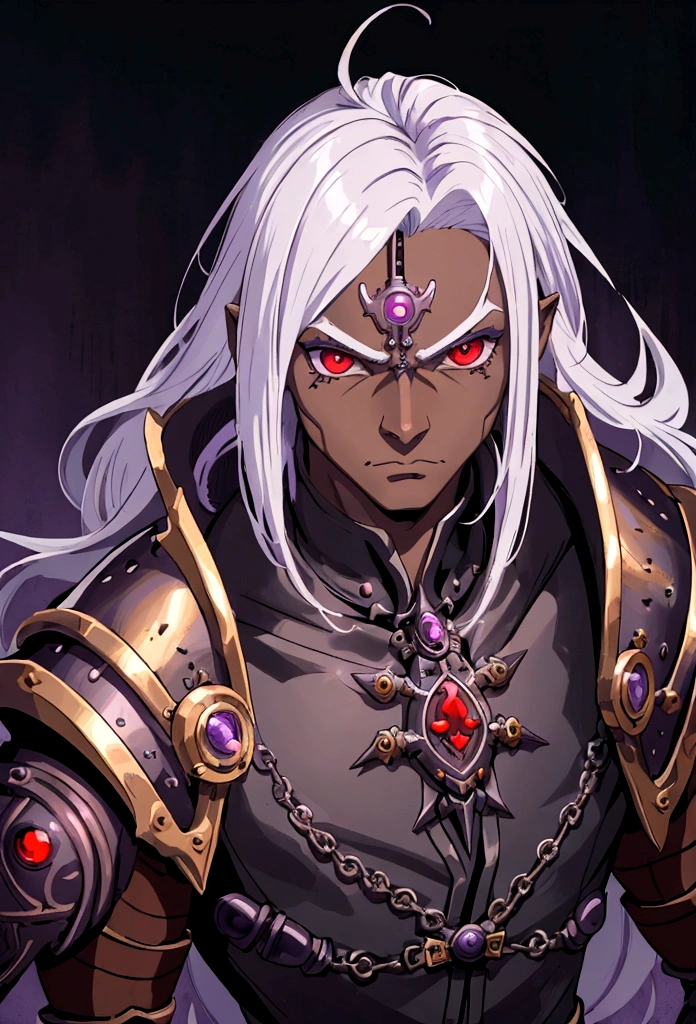 ((best quality)), ((masterpiece)), (detailed), ((boy)),, (dungeonpunk), (steampunk), half-drow, portrait, red eyes, long white hair, Xemnas from Kingdom Hearts, half-drow, brown skin with a purple hue, (full knight armor), paladin, serious faces, by Kinema Citrus