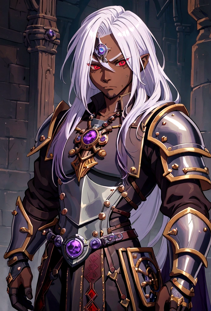 ((best quality)), ((masterpiece)), (detailed), ((boy)),, (dungeonpunk), (steampunk), half-drow, portrait, red eyes, long white hair, Xemnas from Kingdom Hearts, half-drow, brown skin with a purple hue, (full knight armor), paladin, serious faces, by Kinema Citrus