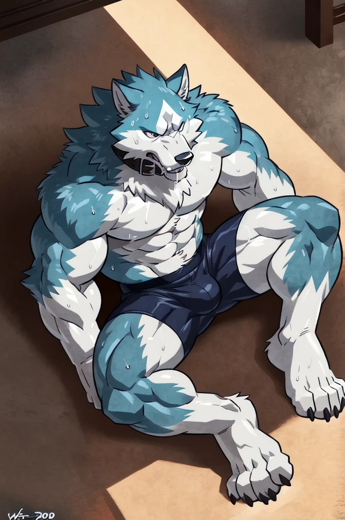 ((solo)), (anthro) wolf, shirou_ogami:1.8 (bna), adult, mature, masculine, slim:1.2, skinny:1.2, tall:1, (correct anatomy:1.2), vascular veins, (cartoon fur, detailed fur texture:1.3), topless, wearing big black collar (shirtless, shorts bulge , compression shorts), ultradetailed, (by wfa:1.2), (by takemoto_arashi, by vorusuarts, by Traver009:1, by grimfaust:1), natural lighting (boxing_ring:1.4 background), (sweat:1.4, wet:1.6), (lots of sweat flowing down) exhausted, wolf head ((open eyes, detailed):1.2), open mouth (steaming breath:1.2, drooling, dripping saliva, thick drool) tongue sticking out, (serious:1.4) expression), grumpy, sad, lying down, collapsed, defeat ,macro growing size difference fullbody embarrassed face feet