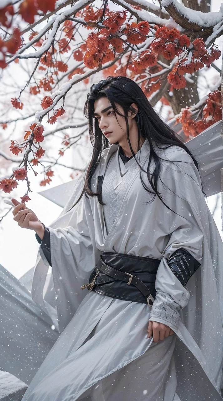Boys,23 years old,Black long hair,Sword-like eyebrows and star-like eyes,Cold and distant