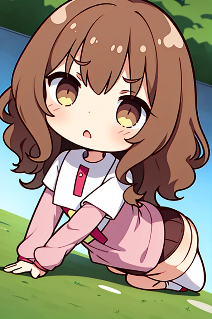 18 year old girl, large eyes, big eyelashes, thin eyebrows, half full cheeks, thick lips, curly brown hair, Brazilian long-sleeved football shirt with number 10, showing the ass, pink panties, long white socks, in pose on all fours