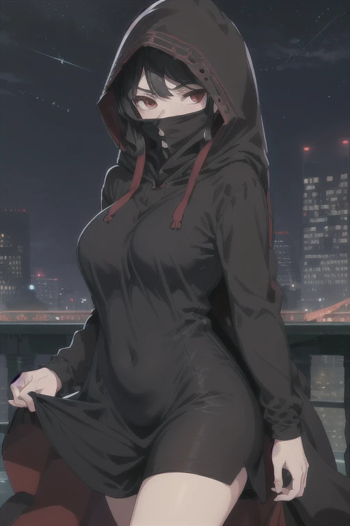 NNAssassinFSF, 1girl, solo, large breasts, black hair, red eyes, long sleeves, dress, hood, black dress, black cloak, hood up, black robe, covered mouth, hooded cloak, ((masterpiece,best quality)) cowboy shot, city, park, night