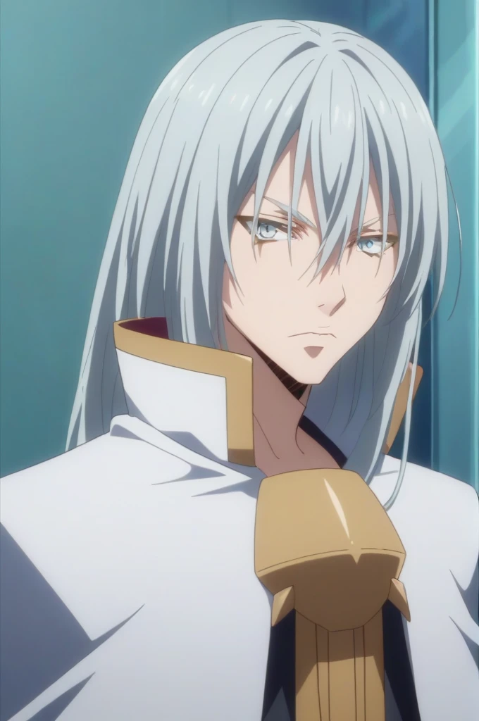 score_9, score_8_up, score_7_up, source_anime, rating_safe, intricate details, anime screencap, , , looking at viewer, , 1boy, solo, male focus, leon_cromwell, silver hair, silver eyes, long hair, hair between eyes, Angry expression, half body photo, crossed arms, ultra detail, ultra HD, masterpiece 