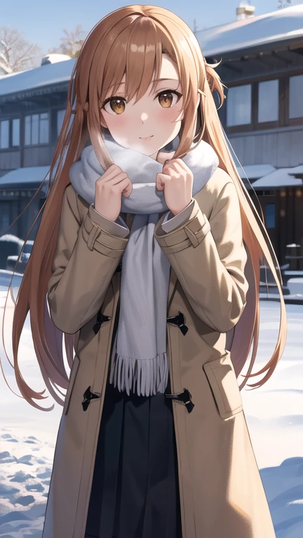 masterpiece, best quality, highres, aaasuna, long hair, brown hair, braid, brown eyes, coat, scarf, winter clothes, snow, outdoors,