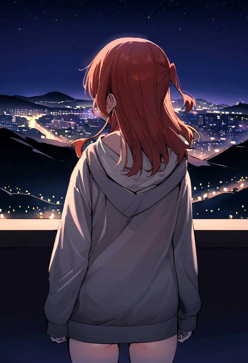 Kita Ikuyo, POV back view, standing, Hoodie, at the mountain with city night background 