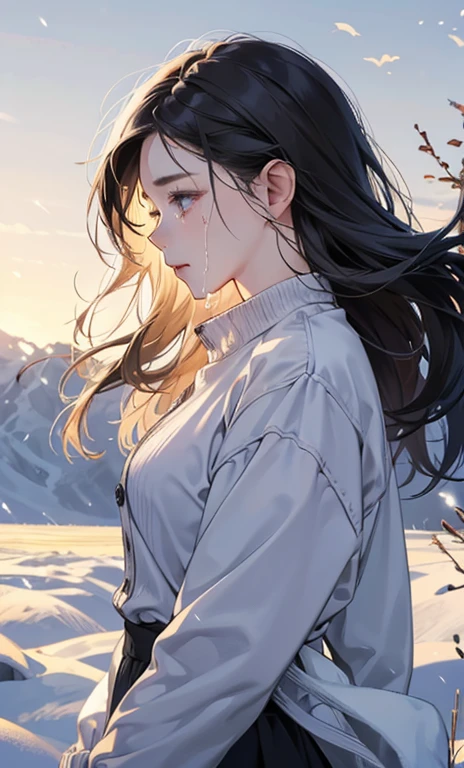 Realistic winter landscape、Woman profile、tears、White long sleeve shirt、Casual clothes with a cardigan、Upper Body、A face distorted while crying、Long hair blowing in the wind