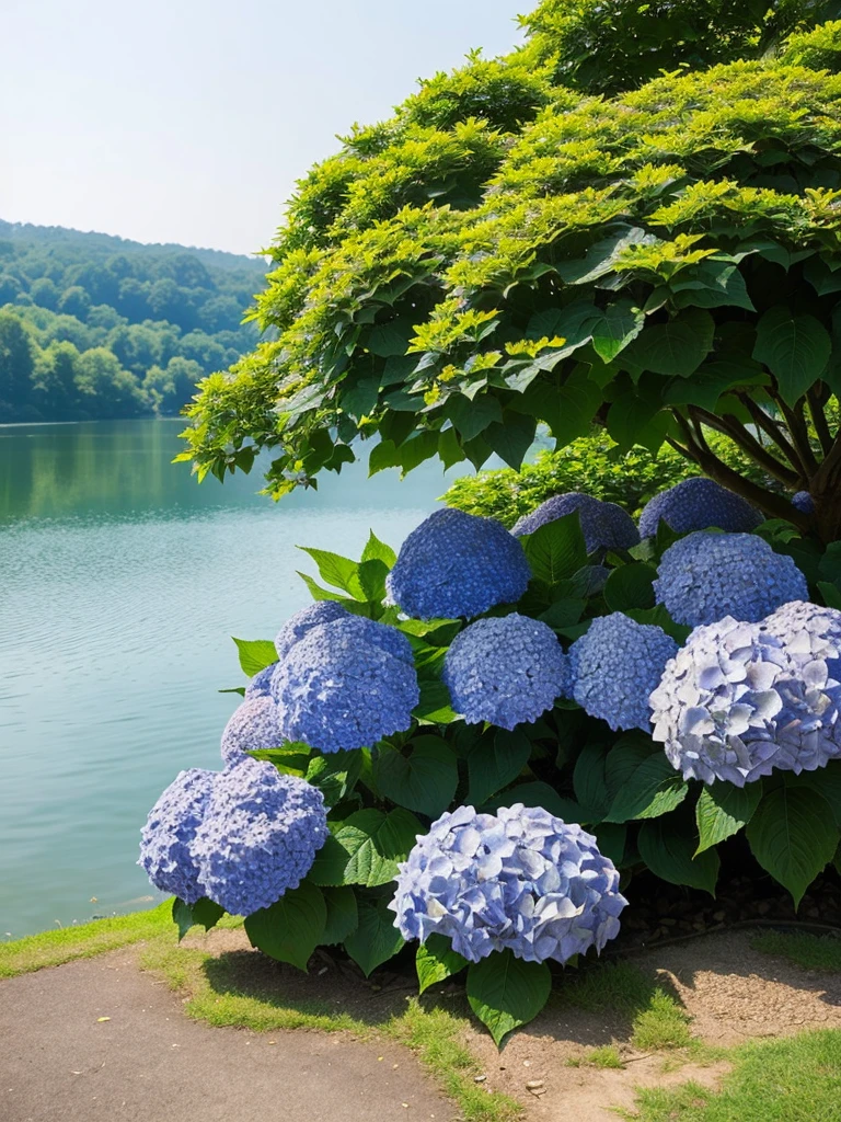 Hydrangea, lake, Small hill, Atmospheric perspective, masterpiece, Highest quality, Anatomically correct,nature