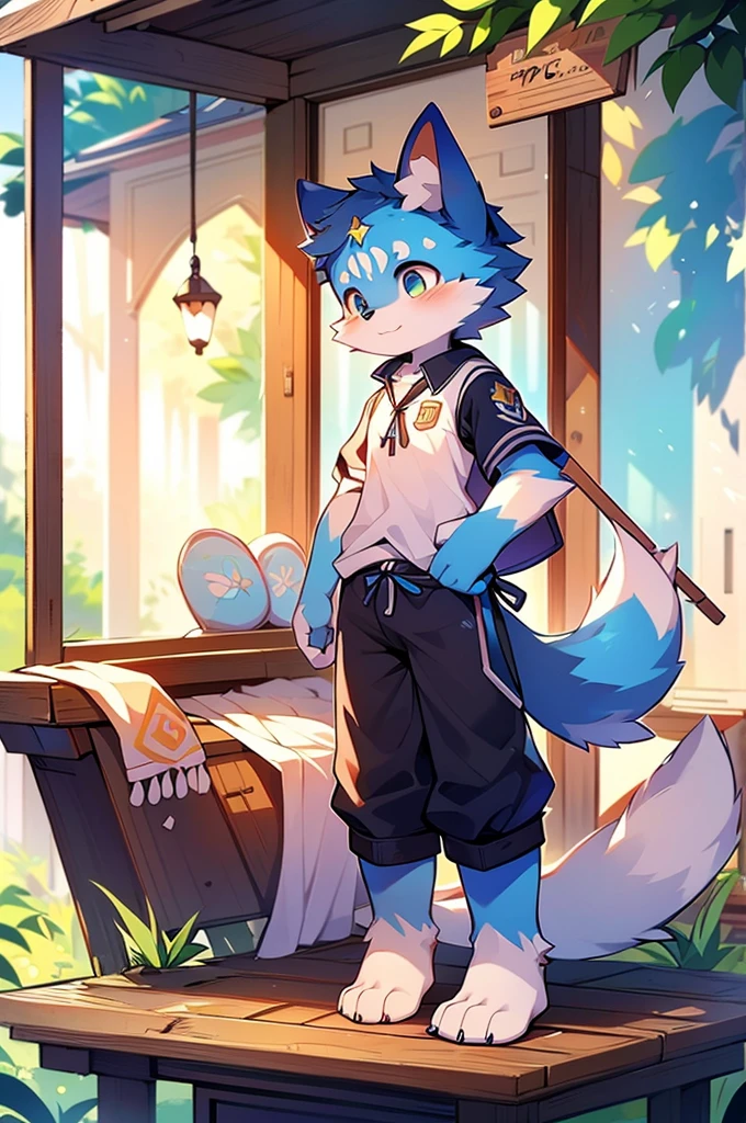 Blue fur, Canine, fox motif, boy, uniform,expensive，One person，Stand up on your own two feet，