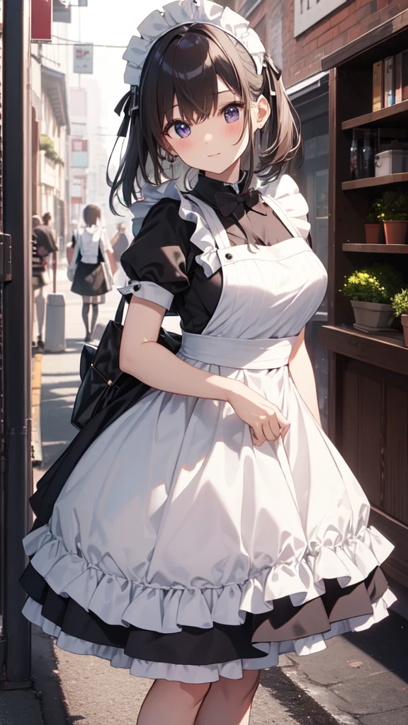 masterpiece、best quality、Maid、Lovely、((狐耳Maid))