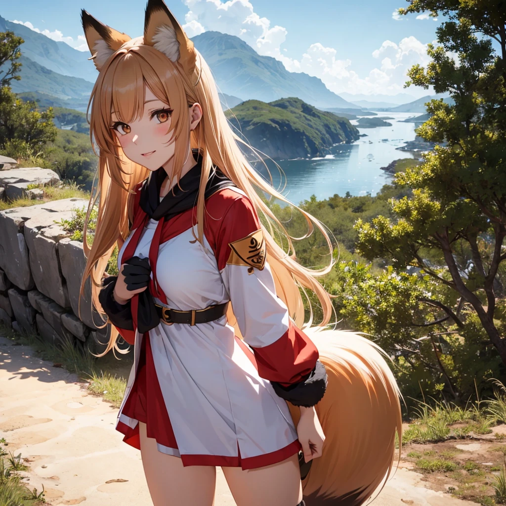 fox Girl, fox&#39;Tail，A girl、 Open chest kimono,Long hair、Gentle、((Maid、Lovely))、external、grassland