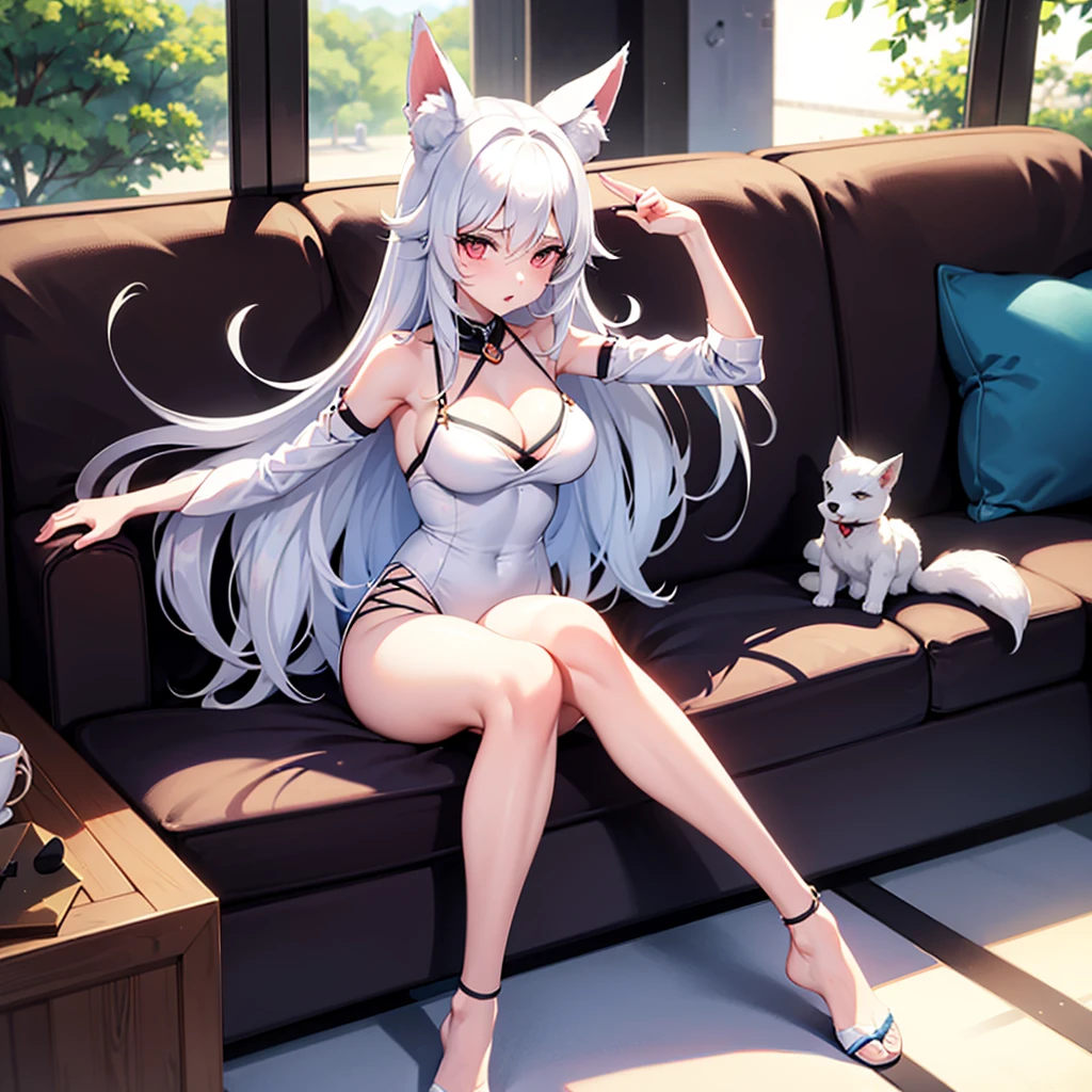 A girl with fox ears, pretty and with good proportions, is 20 years old and her hair is white like her ears.. She is sitting on a beautiful sofa con las piernas cruzadas y con poca ropa.