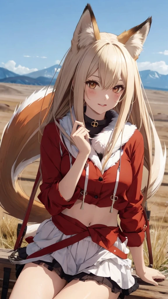 fox Girl, fox'Tail,A girl、 Open chest kimono,Long hair、Gentle、((Maid costume))、external、grassland