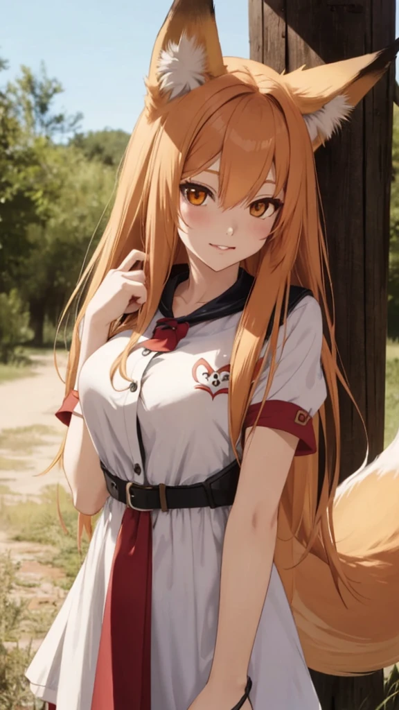 fox Girl, fox&#39;Tail，A girl、 Open chest kimono,Long hair、Gentle、((Maid costume))、external、grassland