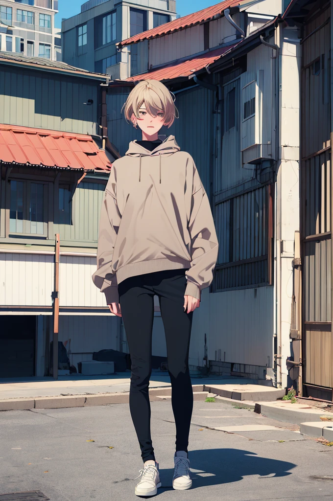 (masterpiece:1.3),(best quality:1.2),(absurdres:1.1), (full body:1.1), dark hair, large sweater, no pants,
mgk_akane, covered ears,looking at viewer,
(highly detailed face and eyes:1.1),standing on a rooftop, simple background,