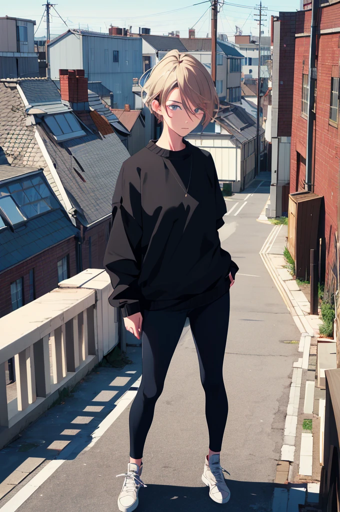 (masterpiece:1.3),(best quality:1.2),(absurdres:1.1), (full body:1.1), dark hair, large sweater, no pants,
mgk_akane, covered ears,looking at viewer,
(highly detailed face and eyes:1.1),standing on a rooftop, simple background,