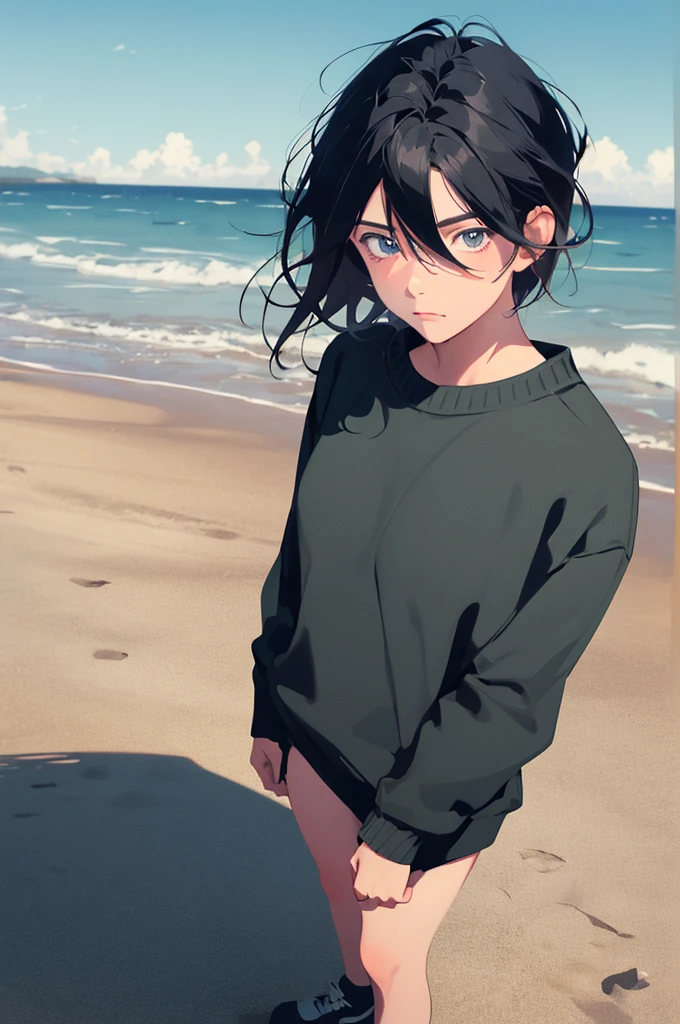 (masterpiece:1.3),(best quality:1.2),(absurdres:1.1), (full body:1.1), black hair, large sweater, no pants, covered ears,looking at viewer,
(highly detailed face and eyes:1.1),standing at the beach, simple background,